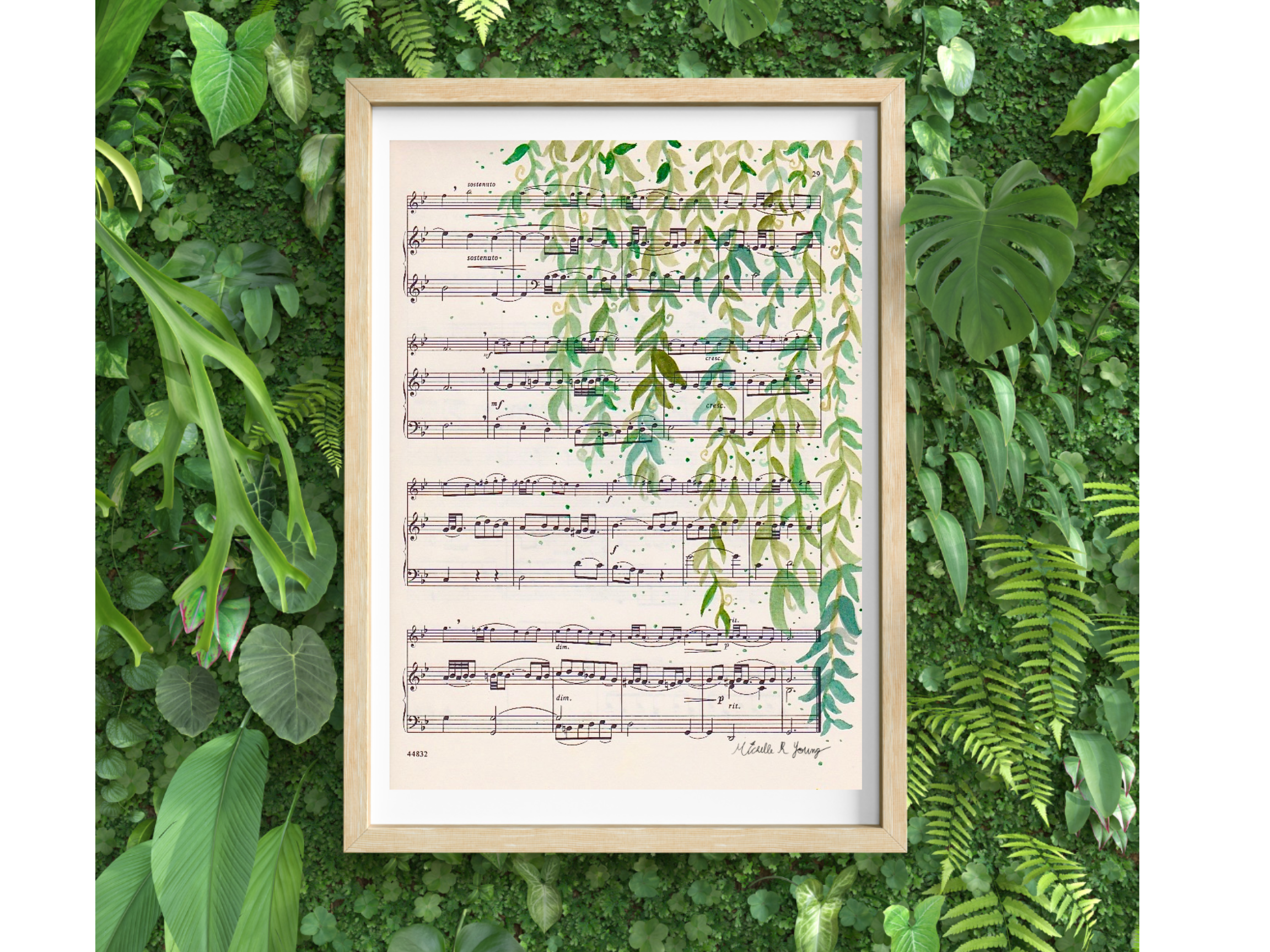 Vines Sheet Music