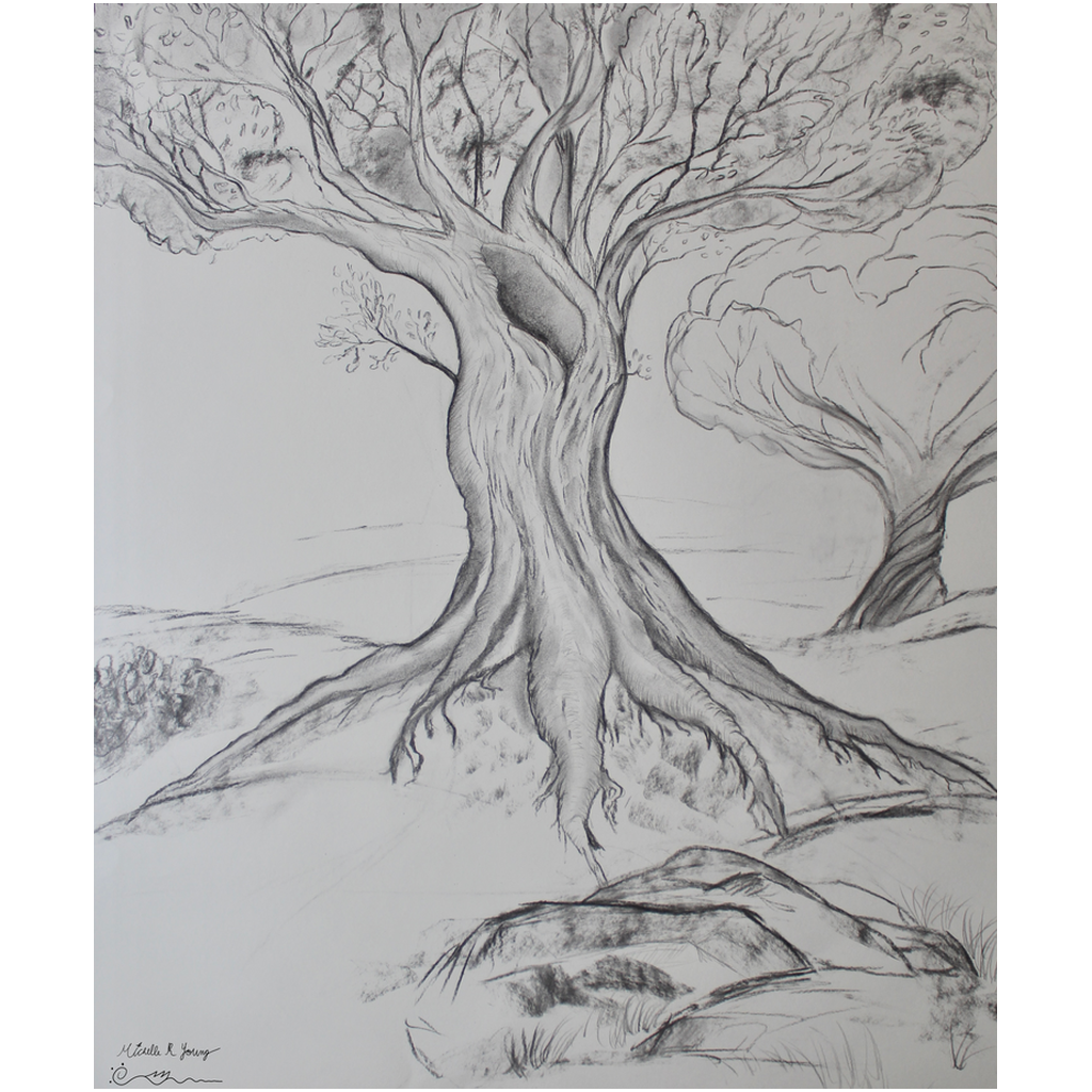Twisted Tree Drawing Professional Prints