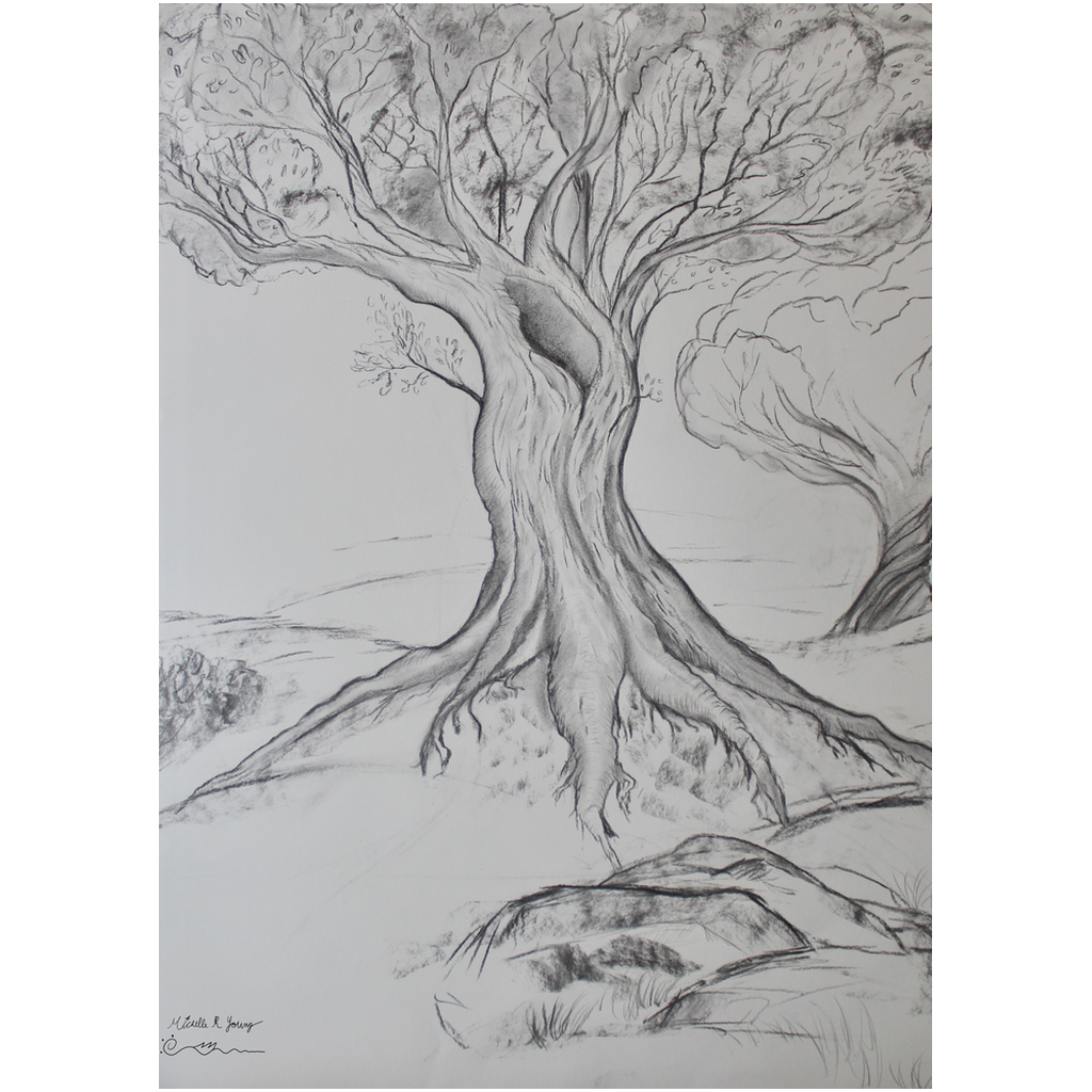 Twisted Tree Drawing Professional Prints