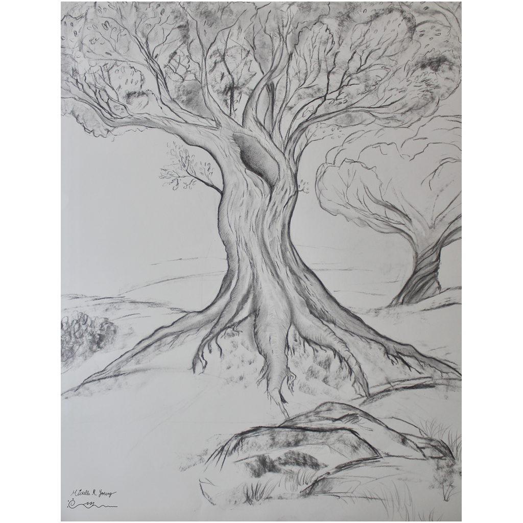 Twisted Tree Drawing Professional Prints