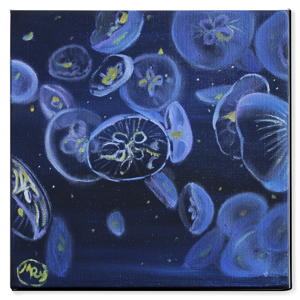 Moon Jellies Canvas Wraps