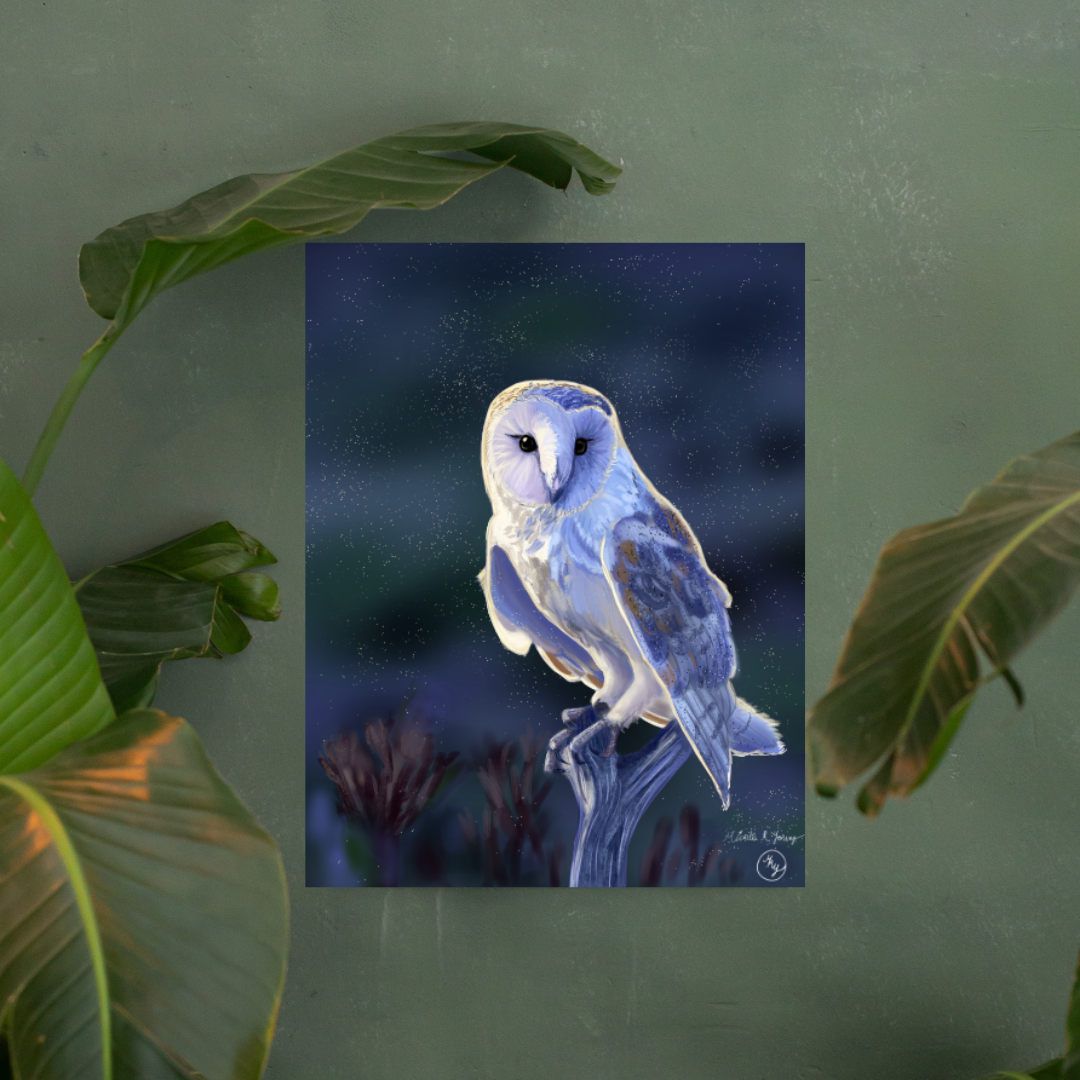 Morning Owl Art Print