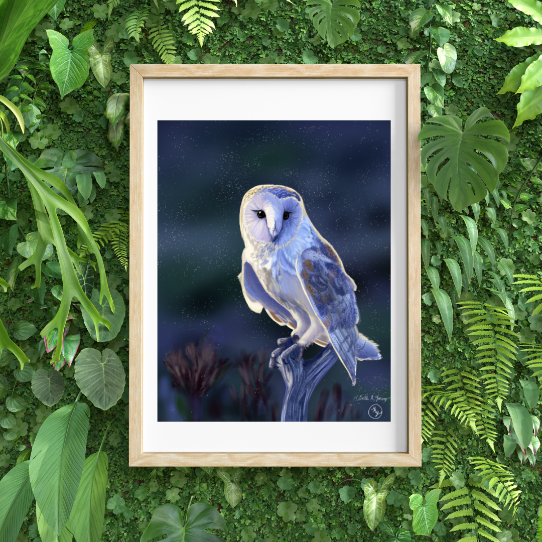 Morning Owl Art Print