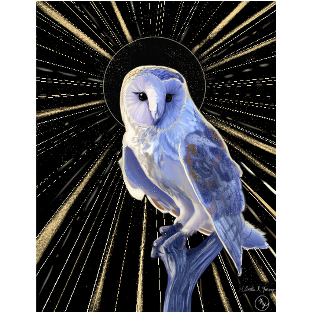 The Golden Eye Professional Prints