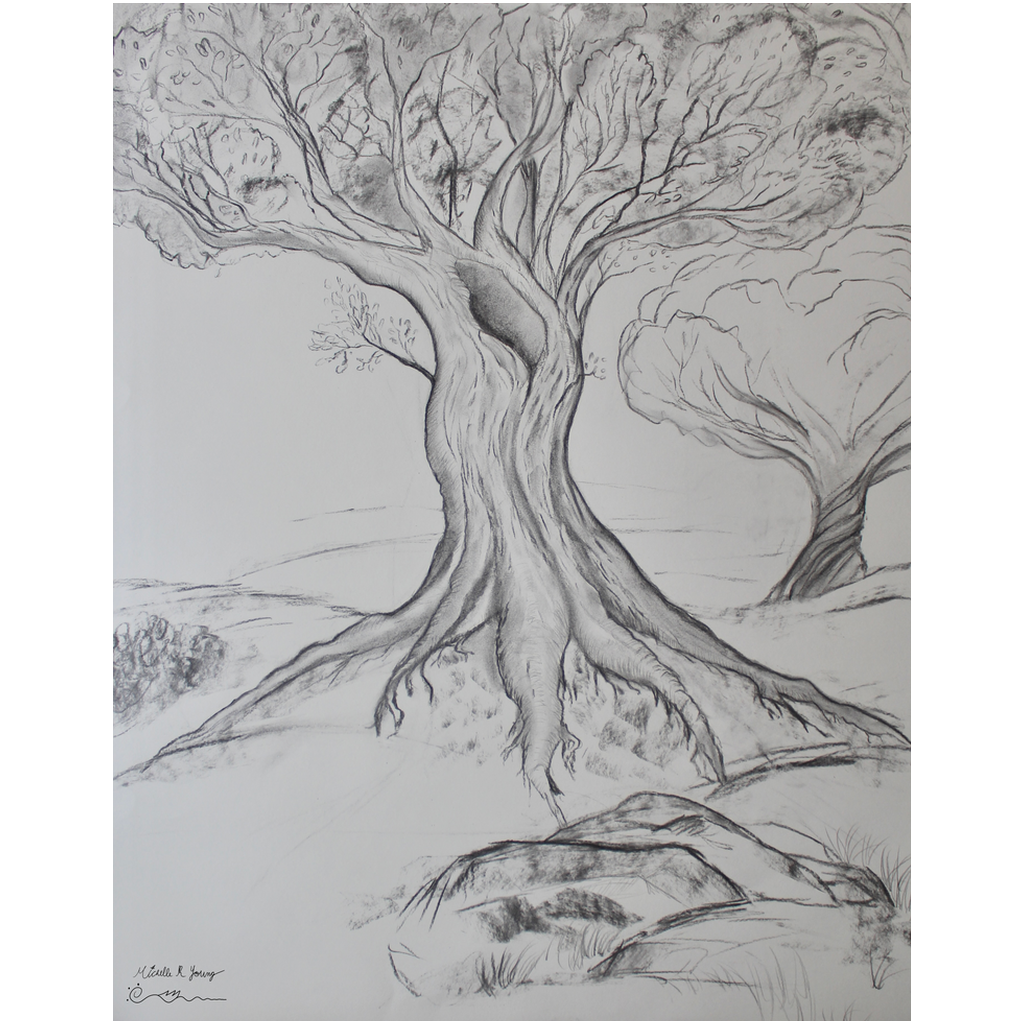 Twisted Tree Drawing Professional Prints