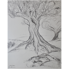 Load image into Gallery viewer, Twisted Tree Drawing Professional Prints
