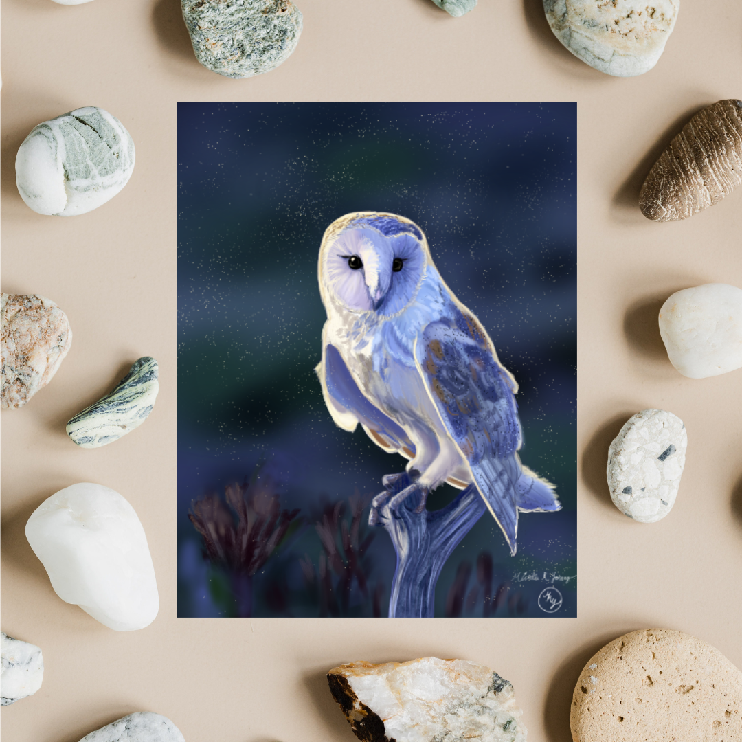 Morning Owl Art Print