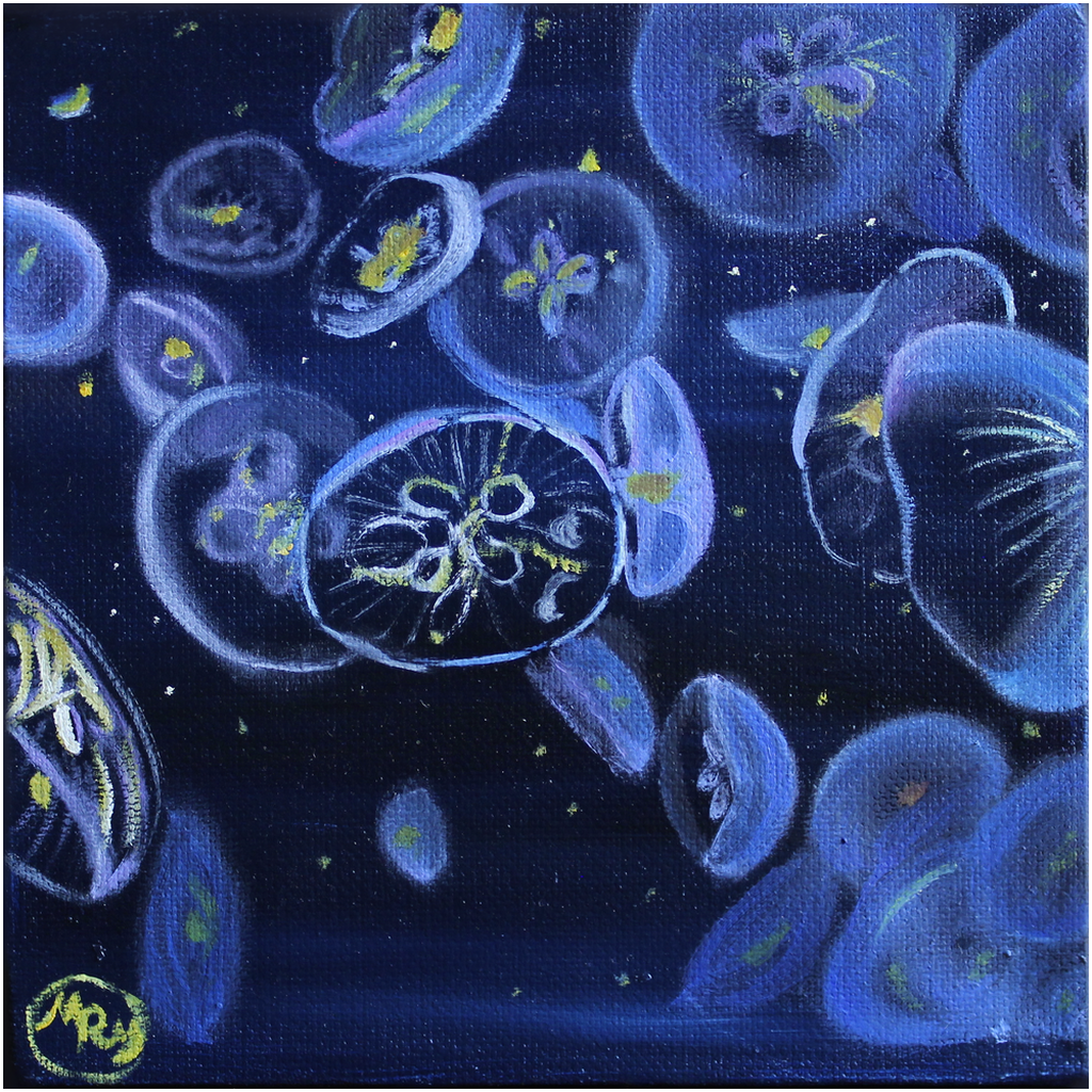 Moon Jellies Professional Art Print