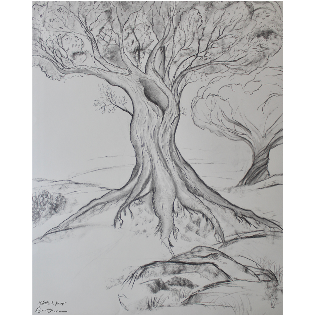 Twisted Tree Drawing Professional Prints