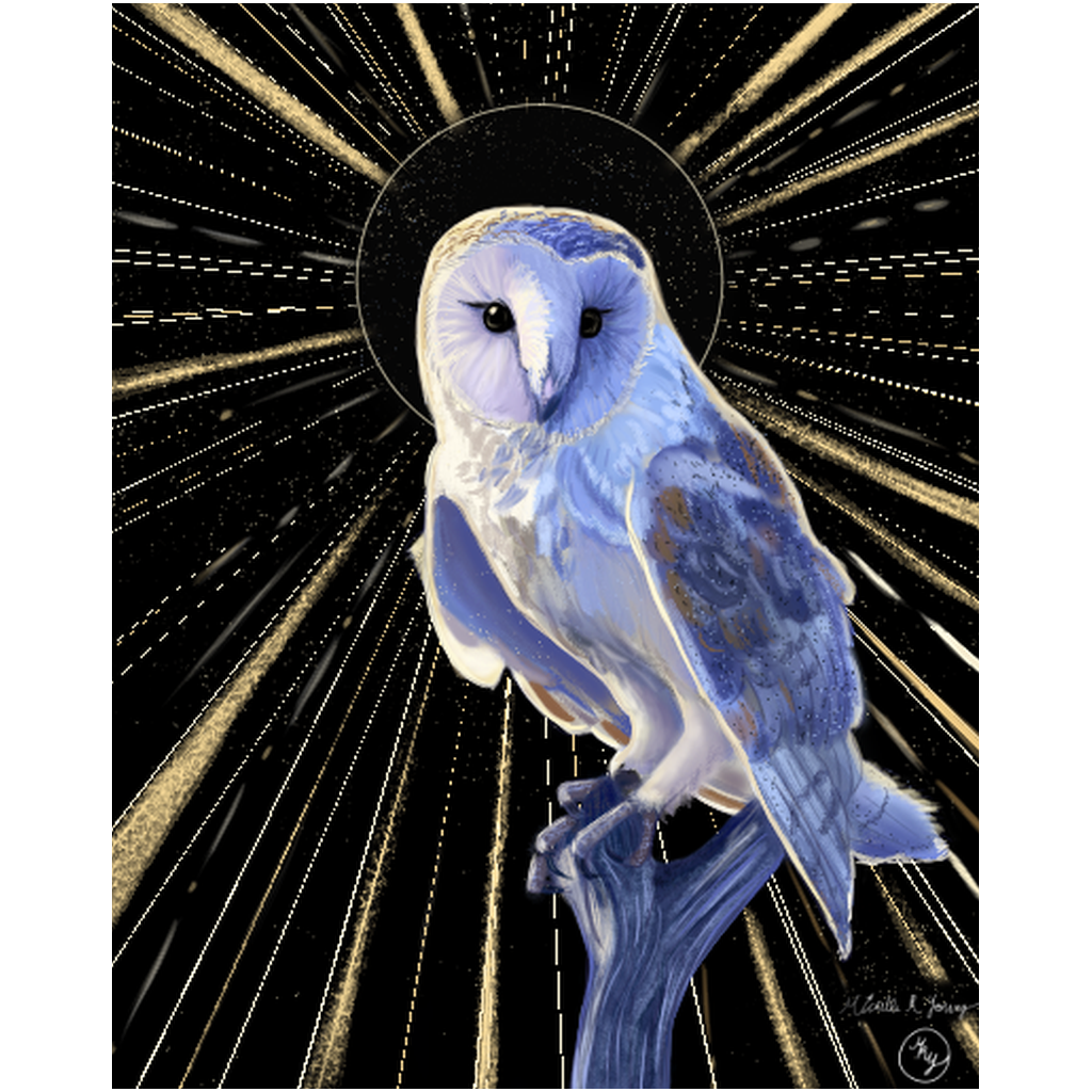 The Golden Eye Professional Prints