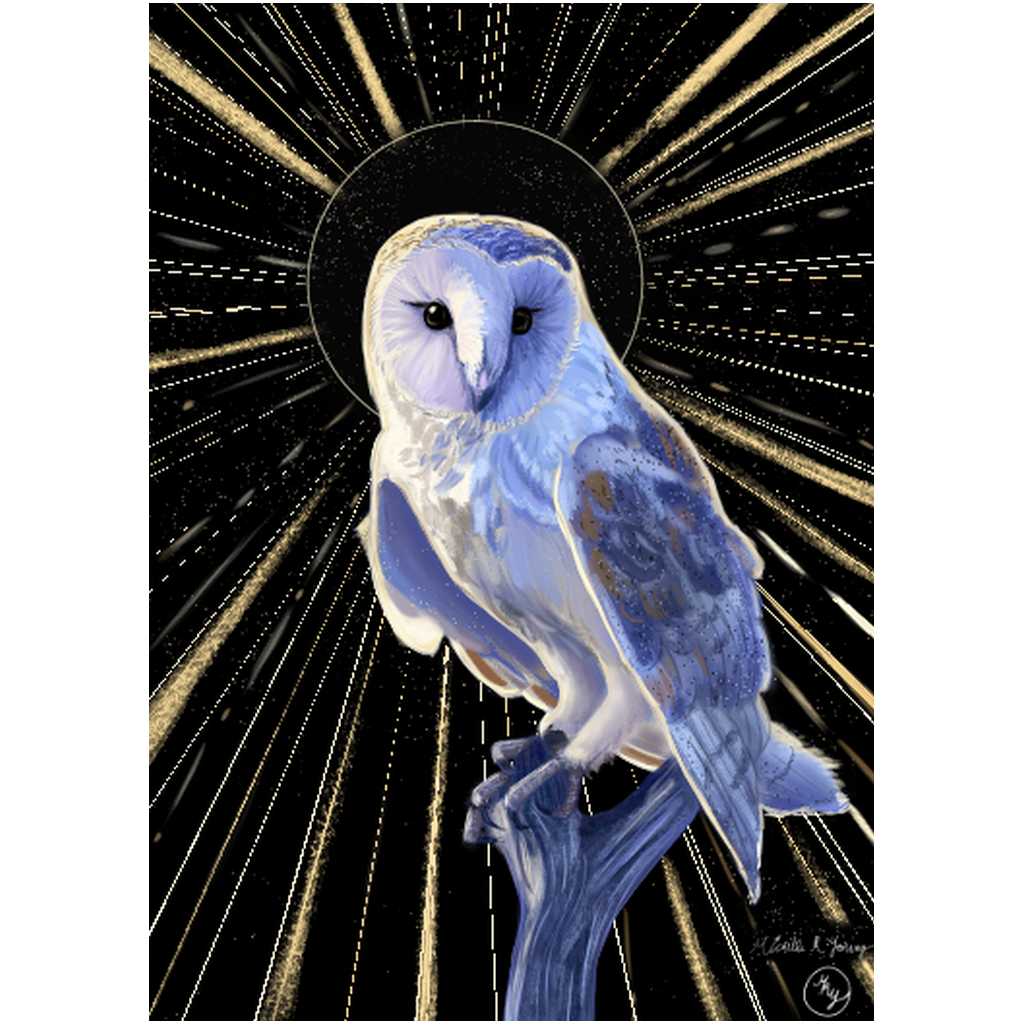 The Golden Eye Professional Prints