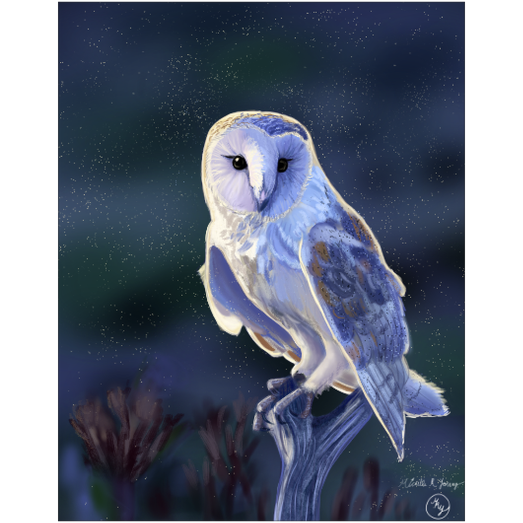 Morning Owl Art Print