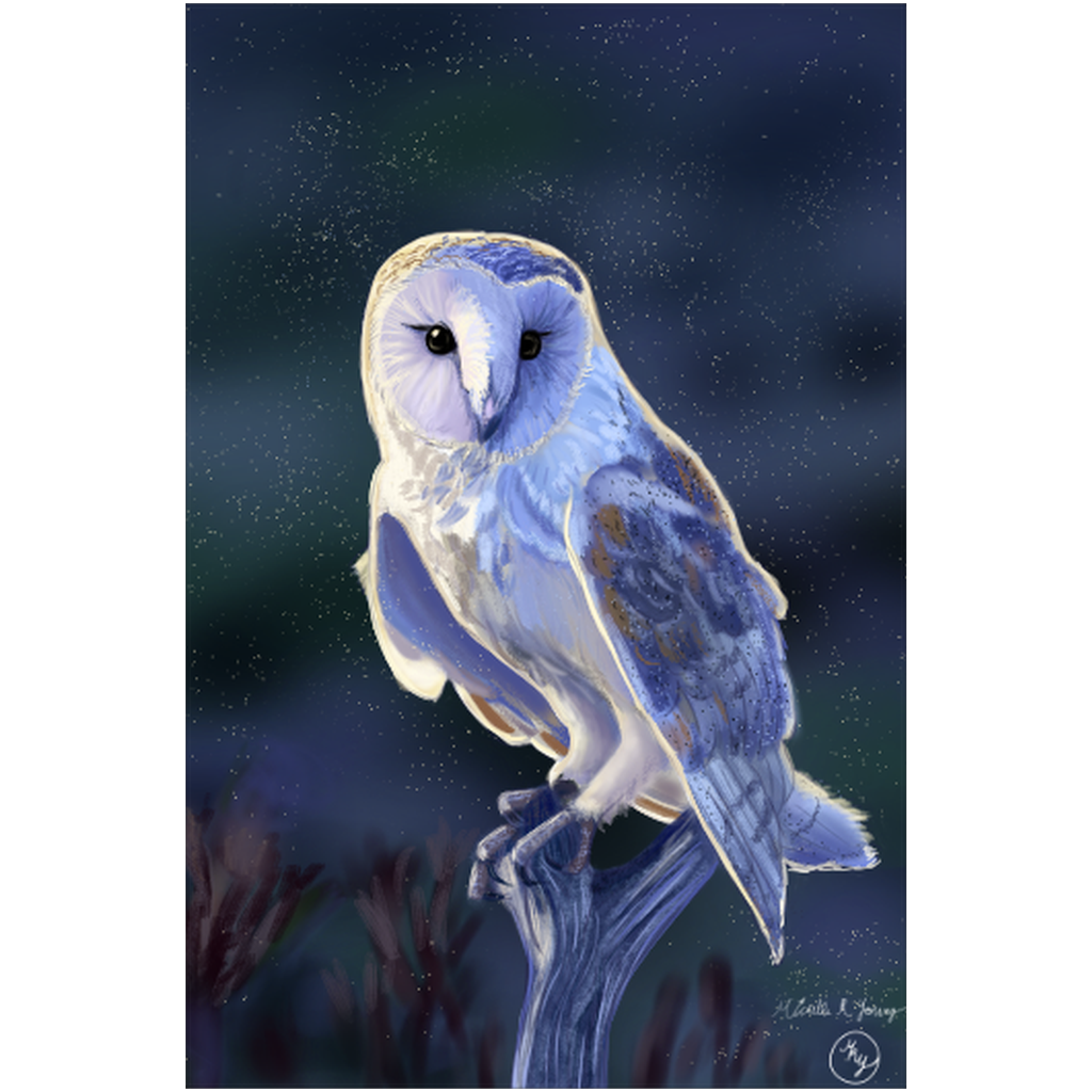 Morning Owl Art Print