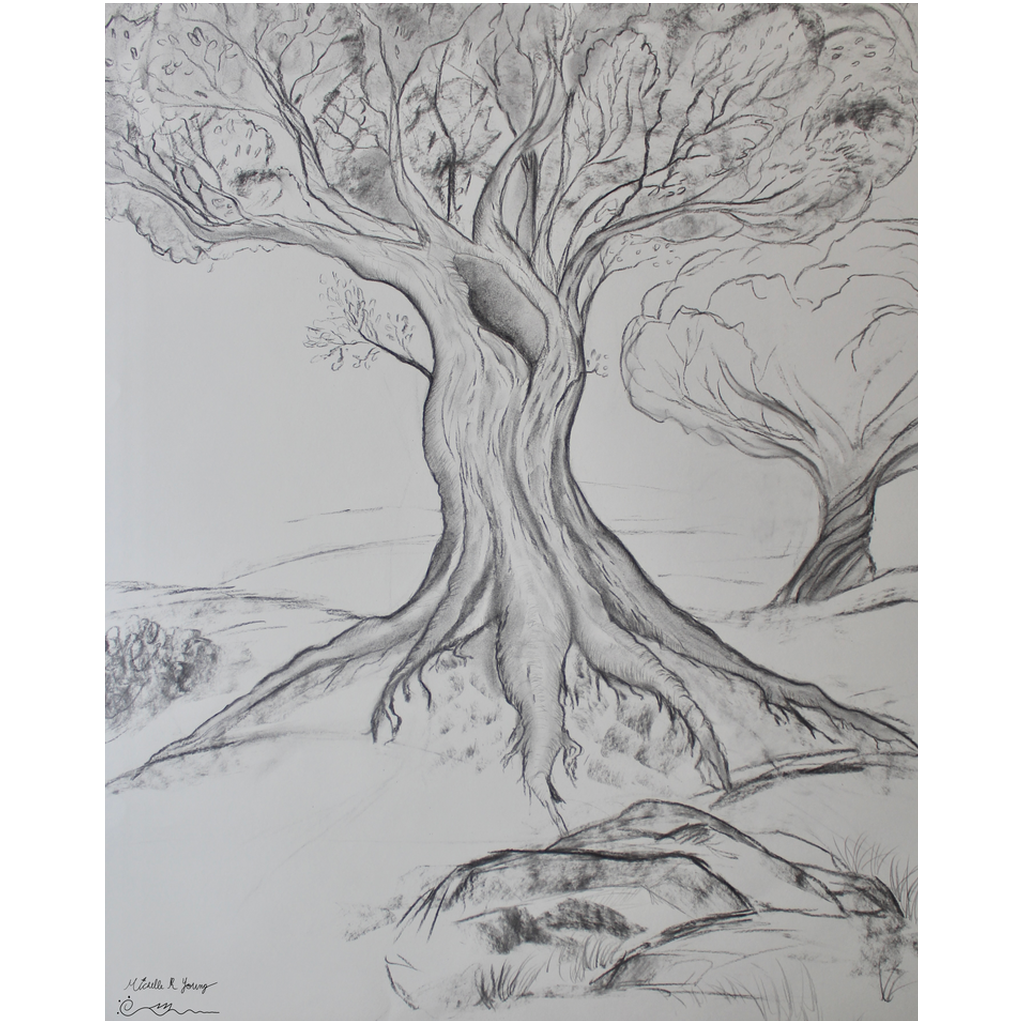 Twisted Tree Drawing Professional Prints