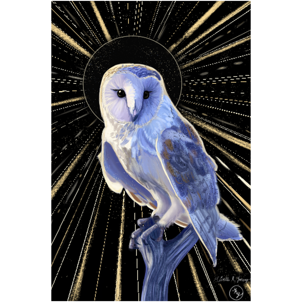 The Golden Eye Professional Prints