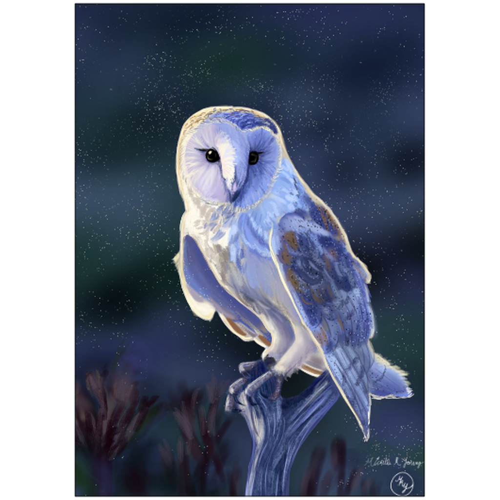 Morning Owl Art Print