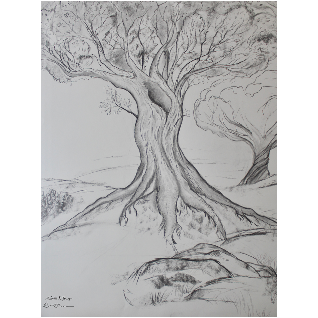 Twisted Tree Drawing Professional Prints