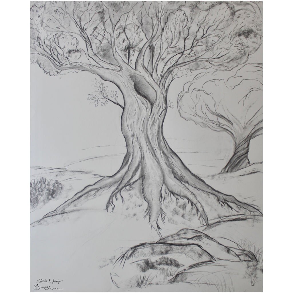 Twisted Tree Drawing Professional Prints