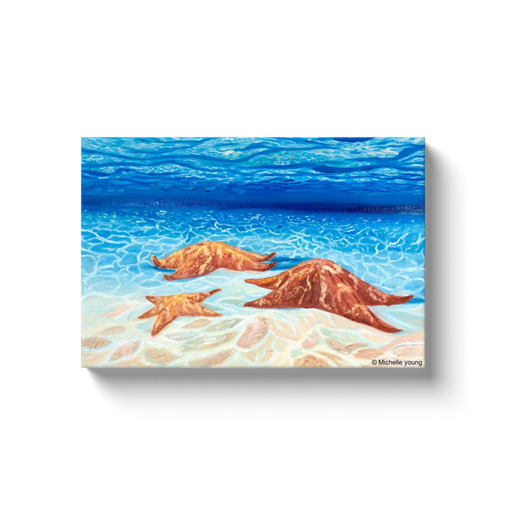 Starfish painting Canvas Wraps