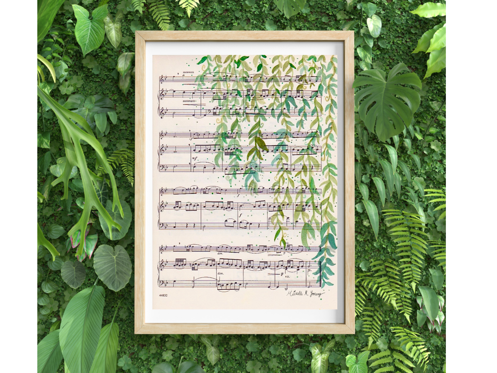 Vines Sheet Music