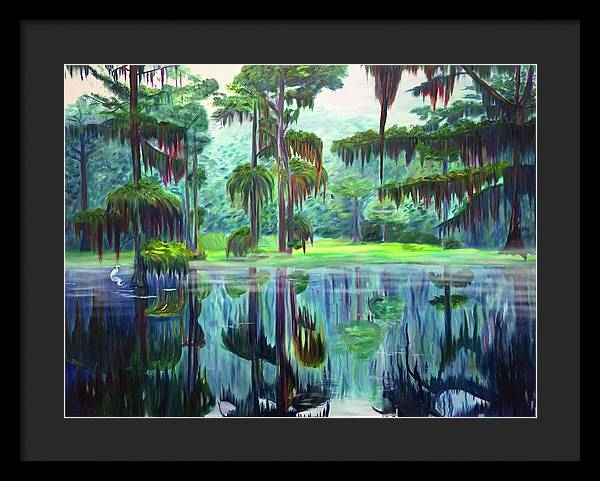 Caddo Lake - Framed Print