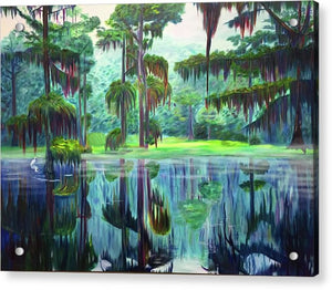 Caddo Lake - Acrylic Print