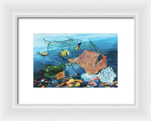 Caught in coral - Framed Print