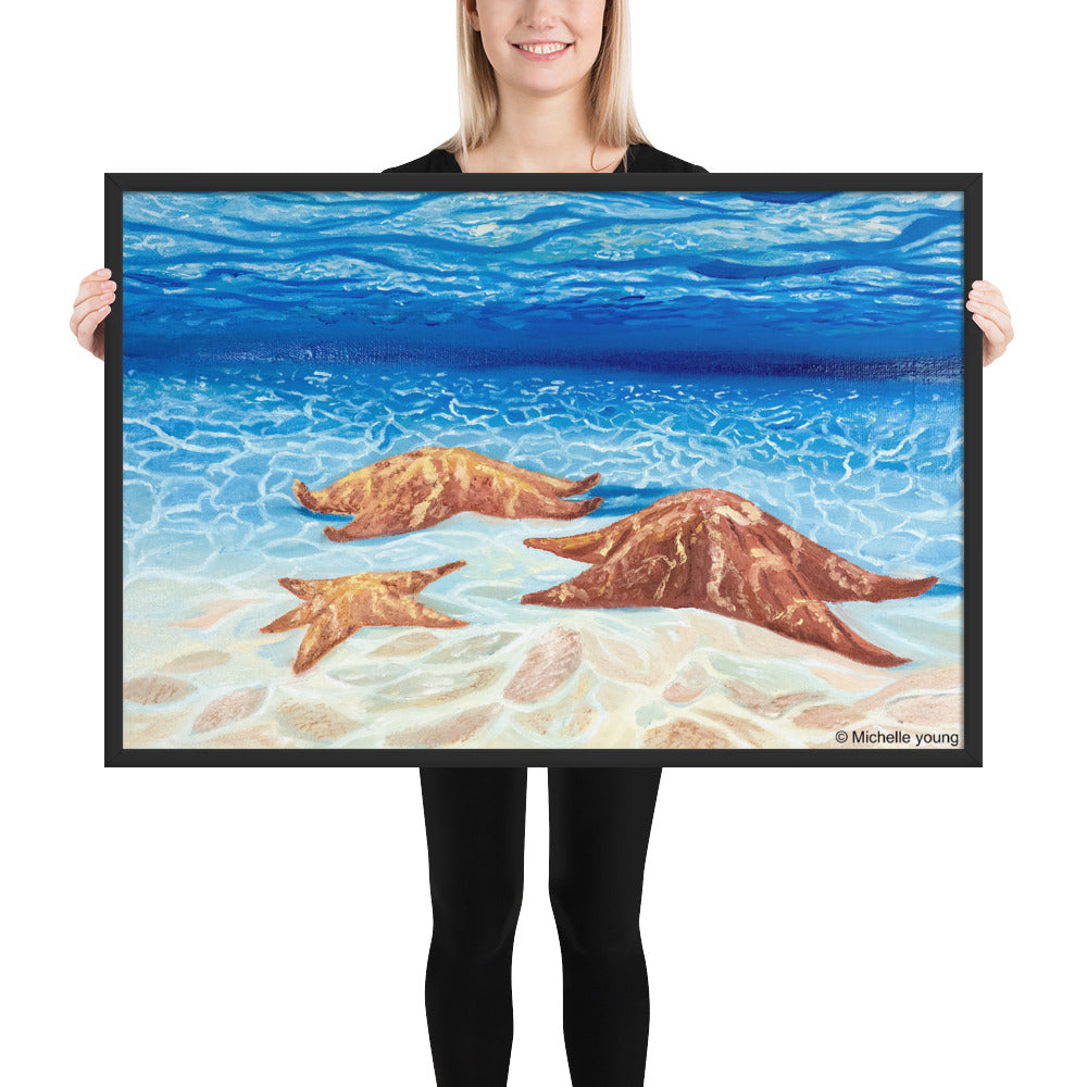 Starfish framed art print
