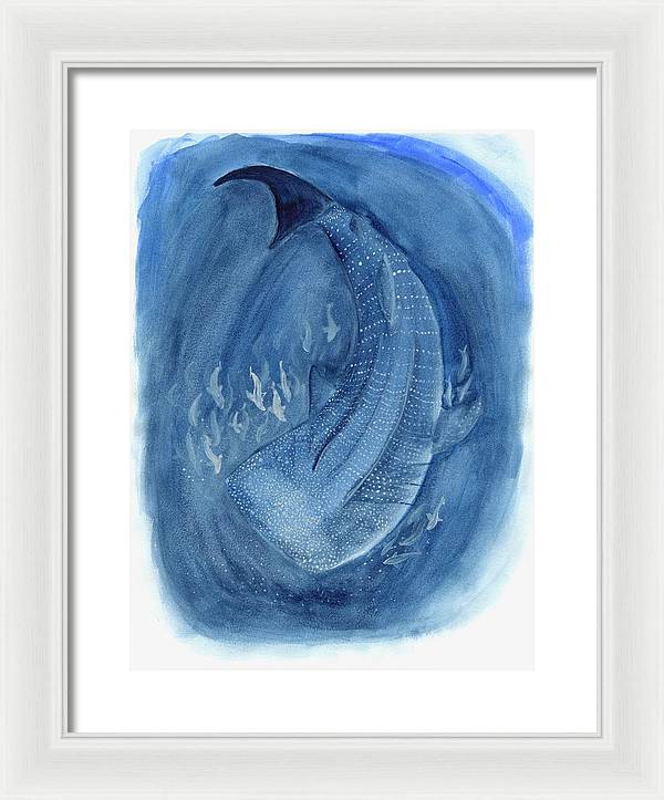 Whale Shark - Framed Print