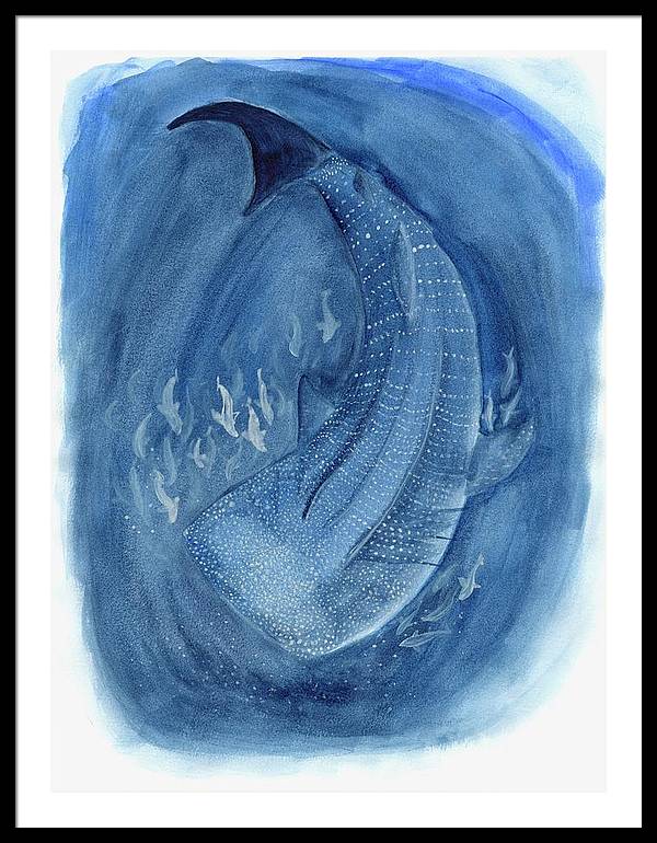 Whale Shark - Framed Print