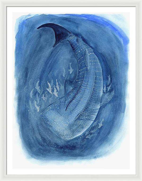 Whale Shark - Framed Print
