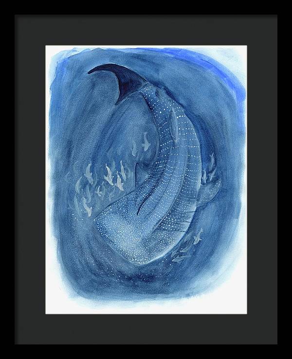 Whale Shark - Framed Print
