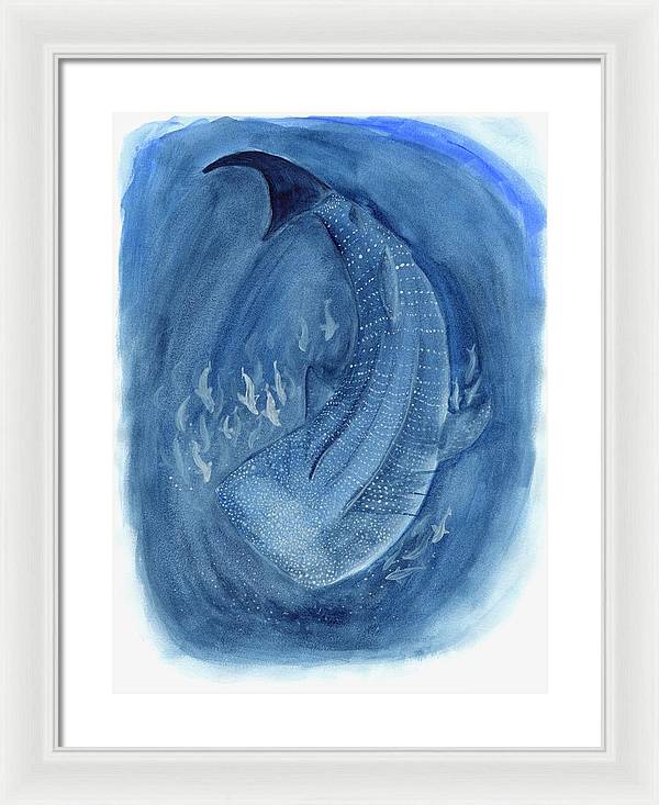 Whale Shark - Framed Print