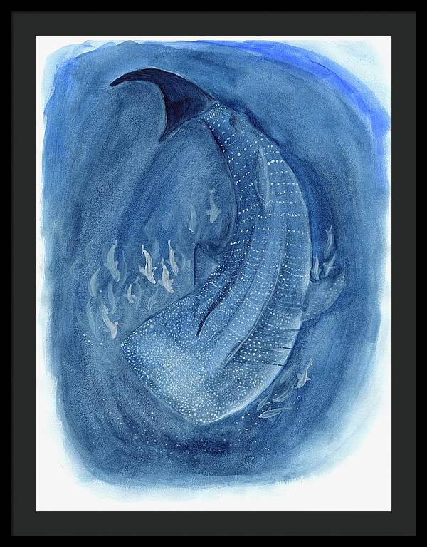 Whale Shark - Framed Print