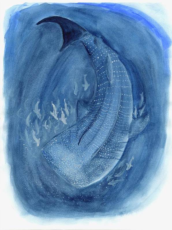 Whale Shark - Art Print