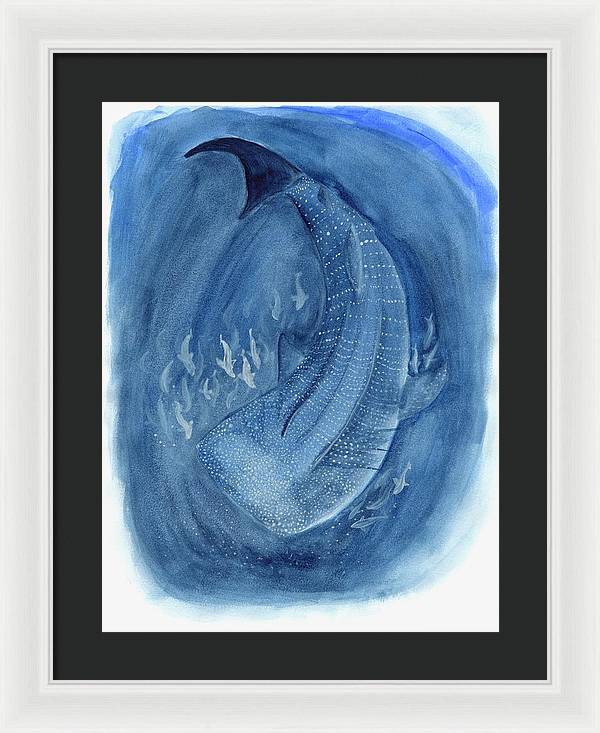 Whale Shark - Framed Print