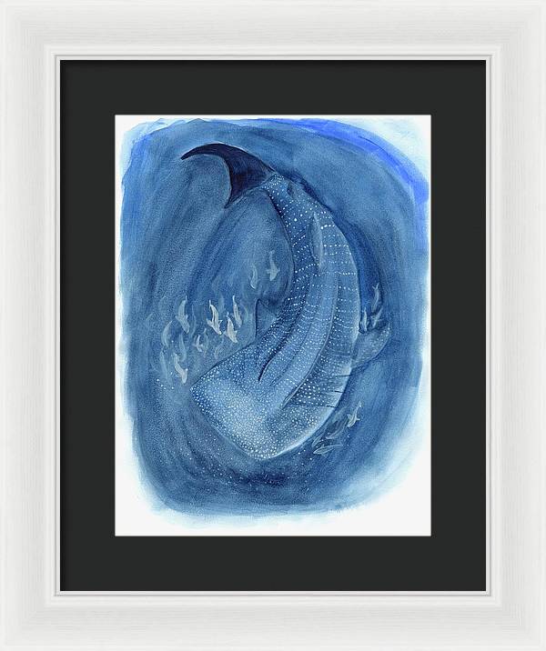 Whale Shark - Framed Print