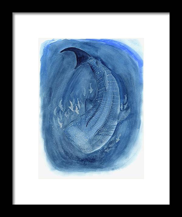 Whale Shark - Framed Print
