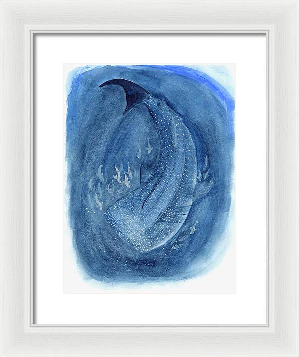 Whale Shark - Framed Print