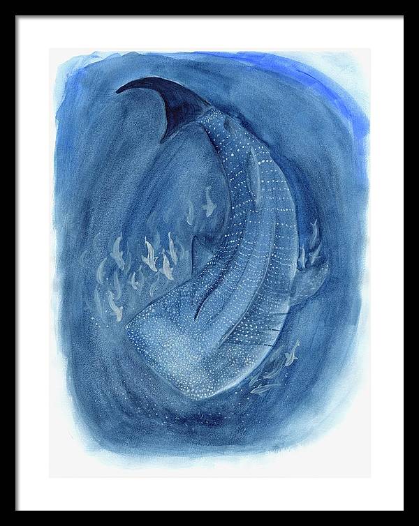 Whale Shark - Framed Print