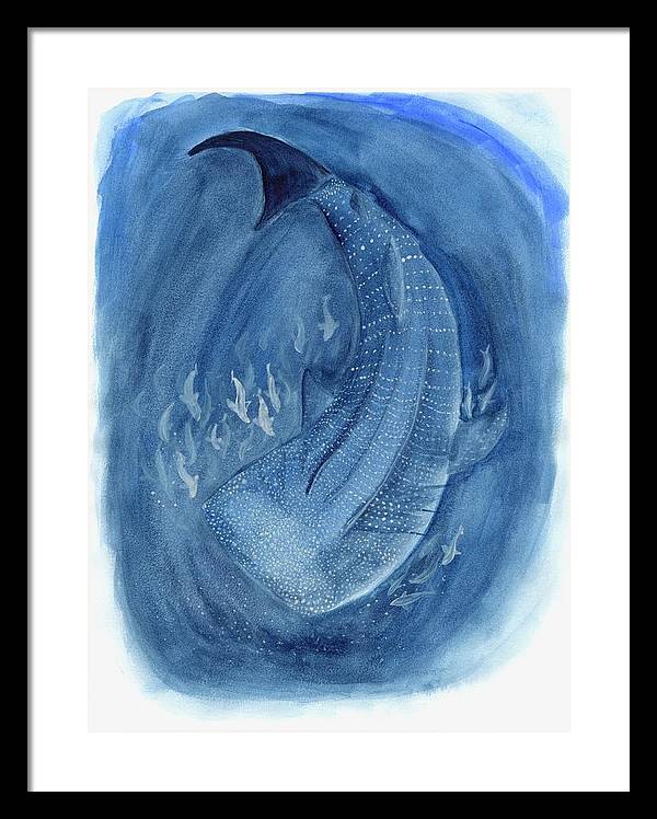 Whale Shark - Framed Print
