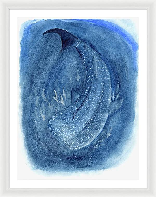 Whale Shark - Framed Print