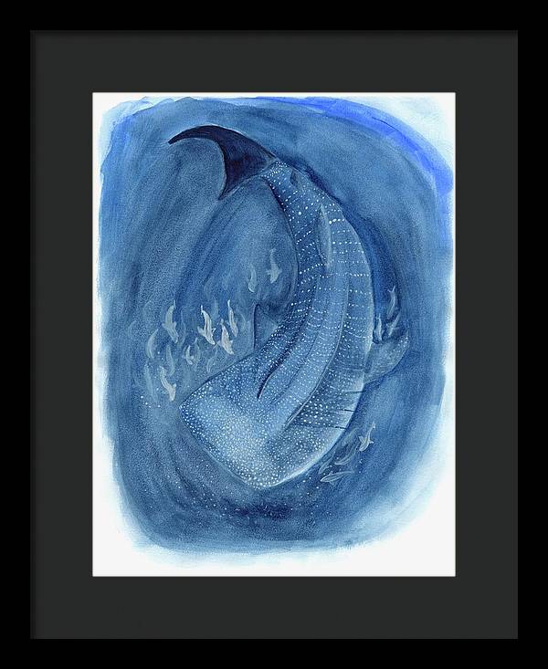 Whale Shark - Framed Print