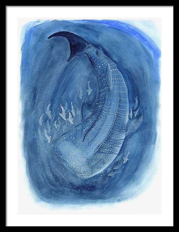 Whale Shark - Framed Print