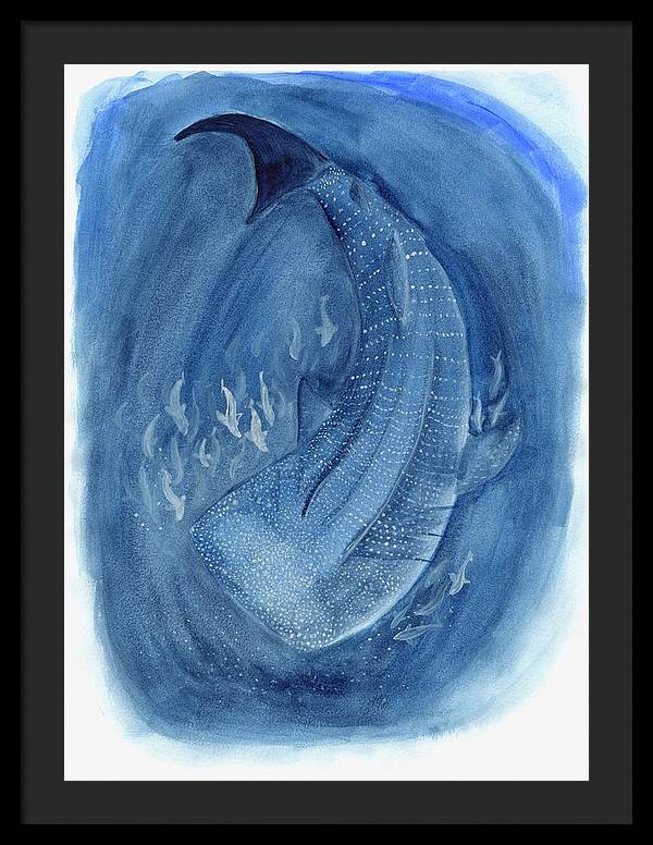 Whale Shark - Framed Print