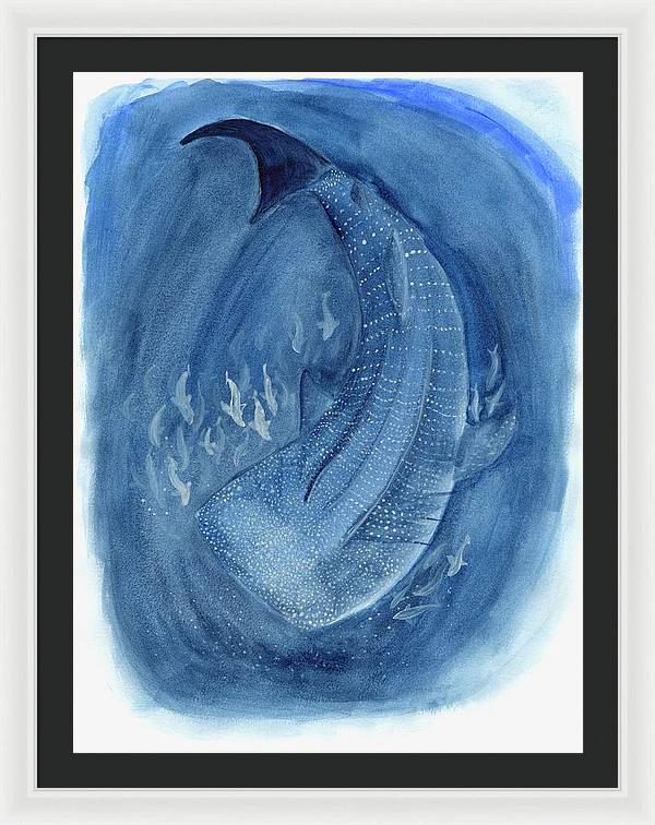 Whale Shark - Framed Print