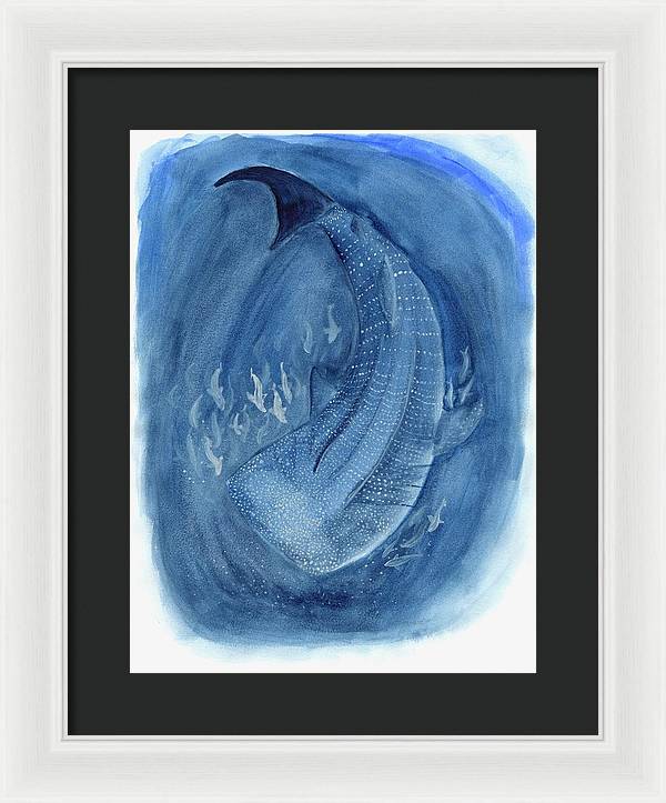 Whale Shark - Framed Print