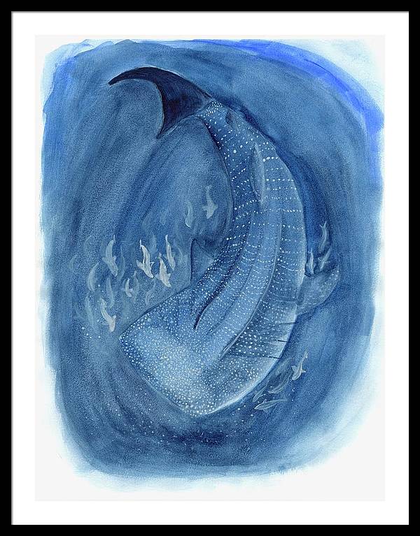 Whale Shark - Framed Print