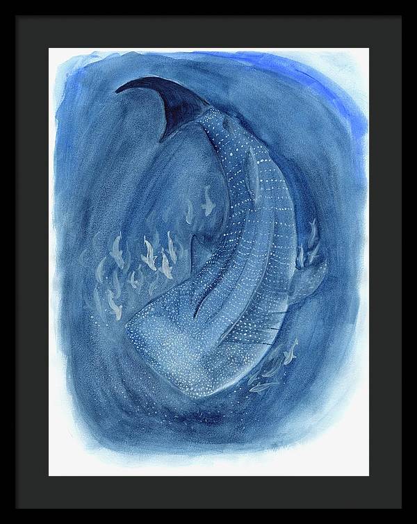 Whale Shark - Framed Print