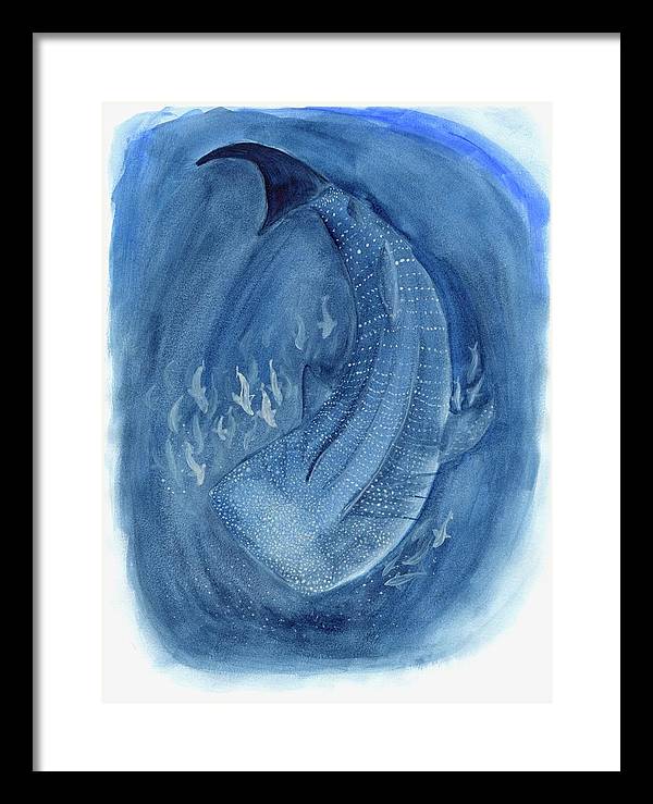 Whale Shark - Framed Print
